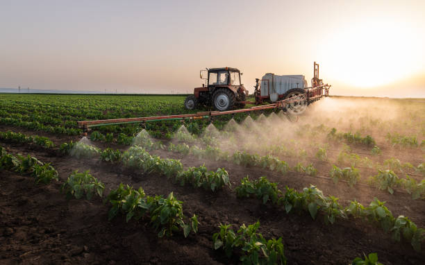 Best Wildlife Control Services  in La Honda, CA