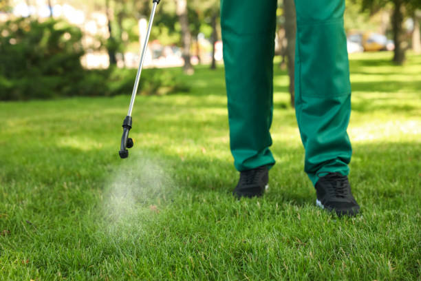 Best Exterminator Services  in La Honda, CA