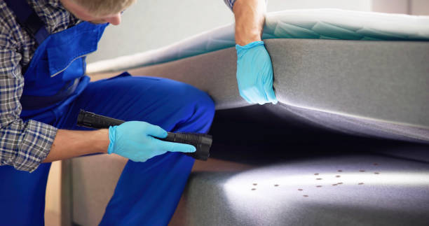 Best Best Pest Control Companies  in La Honda, CA