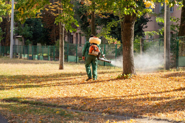 Best Residential Pest Control  in La Honda, CA